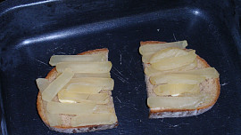 Olomoucké topinky