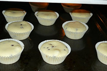 Muffiny