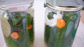 Rychle naložené okurky