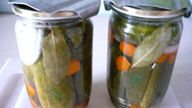 Rychle naložené okurky