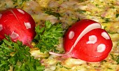 Snídaňová rychlá omeleta (snídaňová rychlá omeleta)
