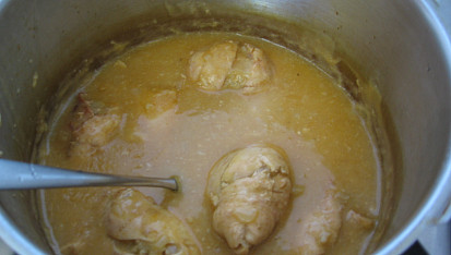 Španělský ptáček