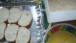 Švestkové pavézky