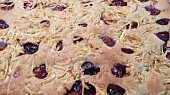 Těsto na lité moučníky nejen pro diabetiky (nyní švestky+jablka), koláč