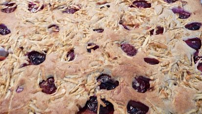 Těsto na lité moučníky nejen pro diabetiky (nyní švestky+jablka), koláč