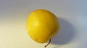 Těsto na lité moučníky nejen pro diabetiky (nyní švestky+jablka), jablko