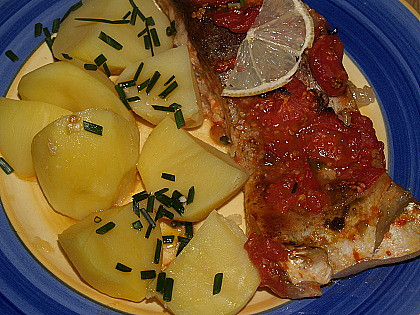 Tolstolobik na rajčatech (tolstolobik pečený na rajčatech)