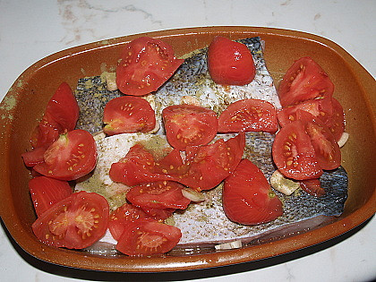 Tolstolobik na rajčatech (tolstolobik na rajčatech před upečením)