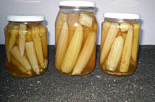 Zavařená kukuřička