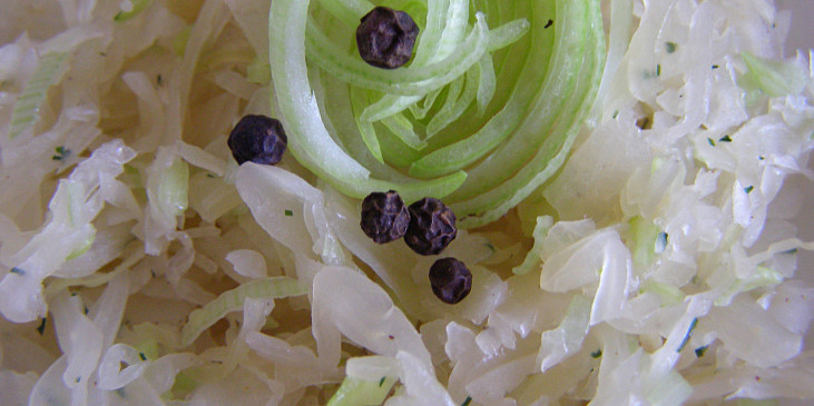 Zelný salát s koprem (místo cibule drobně nasekaný pórek)
