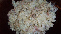 Cikánské nočky