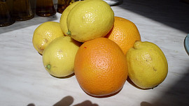 Džem z citrusů