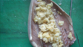 Formanská makrela