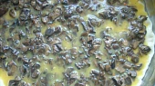 Houbová pizza