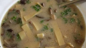 Houbová polévka s nudlemi, Houbová polévka s nudlemi