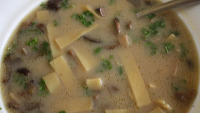 Houbová polévka s nudlemi, Houbová polévka s nudlemi