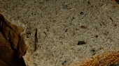 Houbovo-uzený chleba