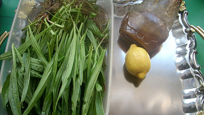 Jitrocelový sirup