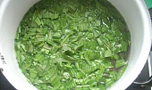 Jitrocelový sirup