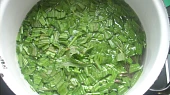 Jitrocelový sirup