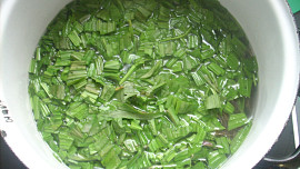 Jitrocelový sirup