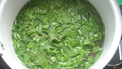 Jitrocelový sirup