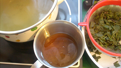 Jitrocelový sirup