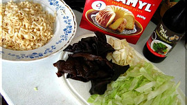 Kantonské nudle / wok