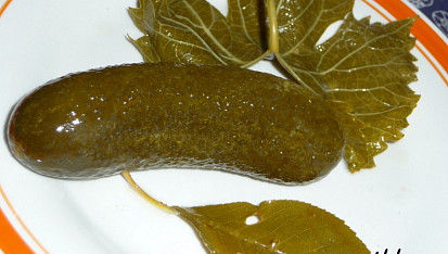Kvašáky II