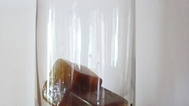 Lutyšská káva II pro Magdalenku