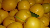 Mirabelkový kompot