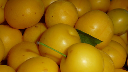 Mirabelkový kompot