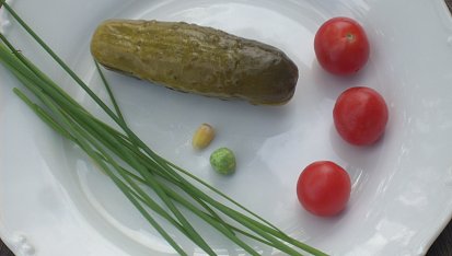 Mravenec, Suroviny na zhotovení