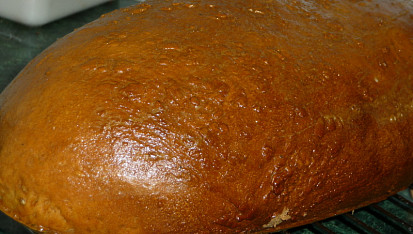 Obyčejný chlebík