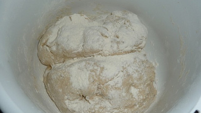 Obyčejný chlebík