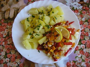 Pangasius v alobalu
