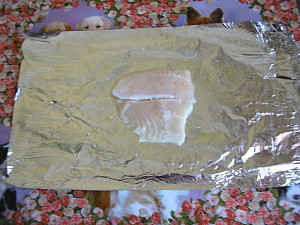 Pangasius v alobalu