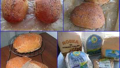 Plecovník, chlebík-kváskový