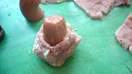 Plzeňská růže