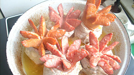Plzeňská růže