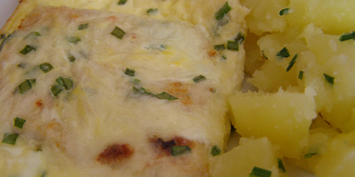 Rybí filé se sýrem (s tvrdým sýrem)