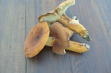 syrovinky