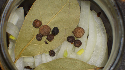 Božské koule