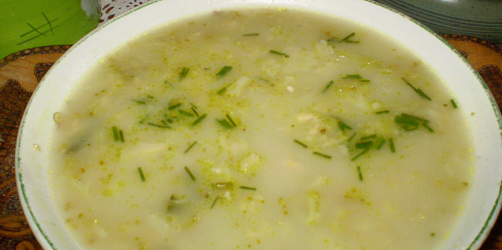 Brokolicovo-nivová polévka