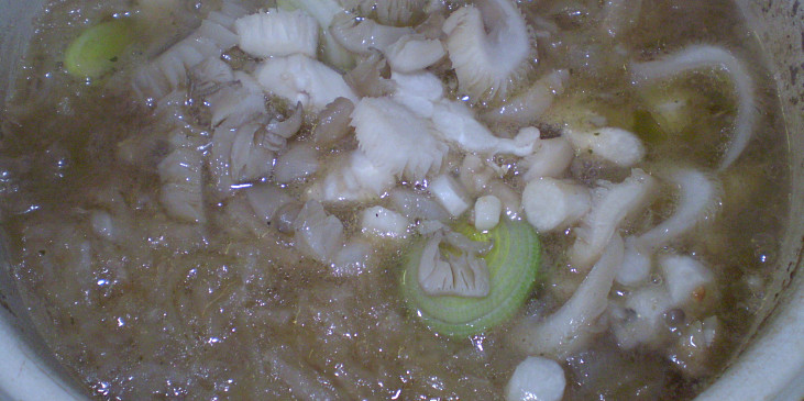 Celerovo-hlívová polévka (vaříme...)