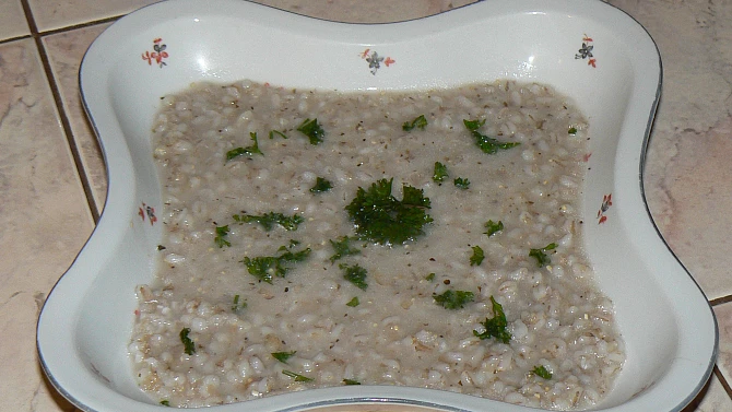 Česneková kroupová polévka