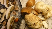 Houbová tresť, Suroviny