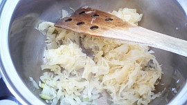 Jihočeská lepenice