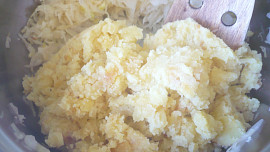 Jihočeská lepenice