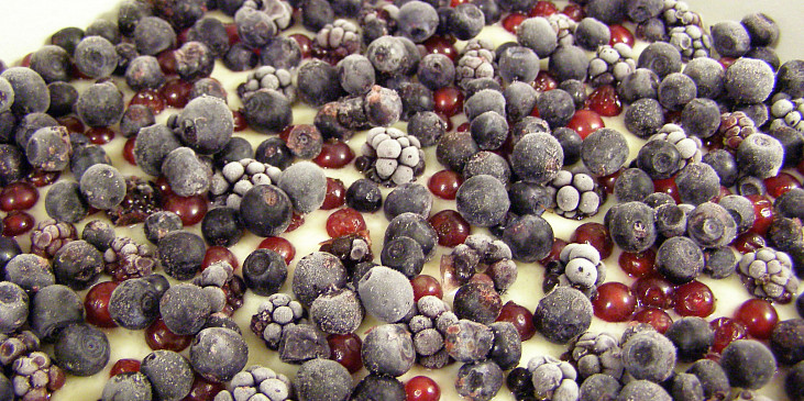 Koláč na plech s lesním ovocem (borůvky, ostružiny a trošku rybízu)